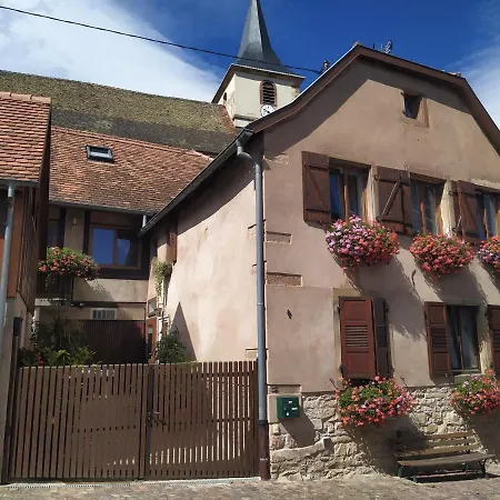 Appartments Rue Des Chateaux Ottrott Exterior photo