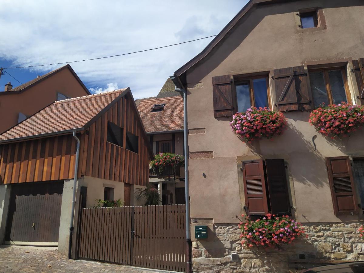 Apartment Appartments Rue Des Chateaux Ottrott